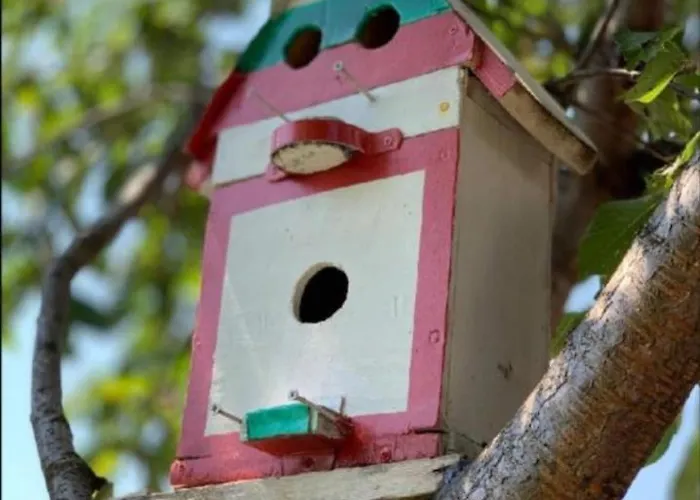 роден край Homeland 3* Sopot